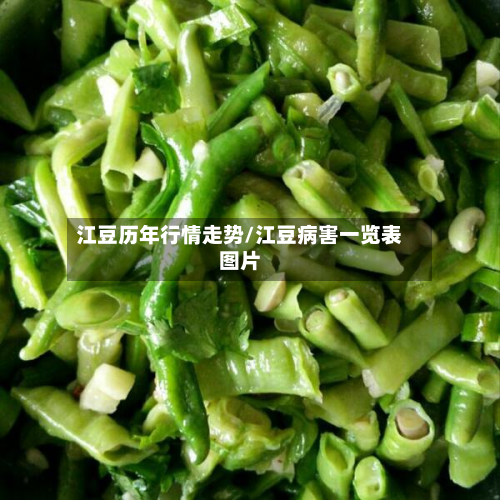 江豆历年行情走势/江豆病害一览表图片-第3张图片