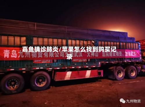 嘉鱼确诊肺炎/苹果怎么找到购买记录-第3张图片