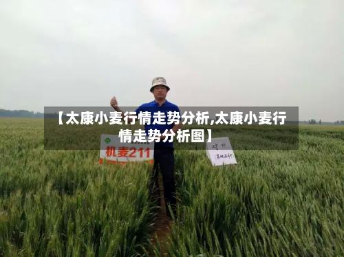 【太康小麦行情走势分析,太康小麦行情走势分析图】-第3张图片