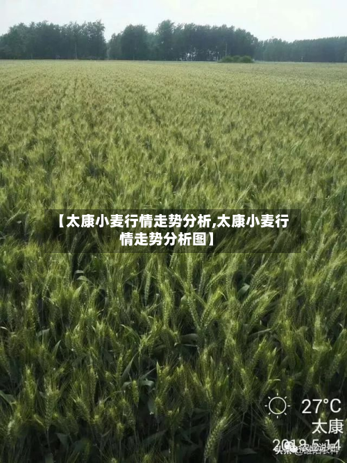 【太康小麦行情走势分析,太康小麦行情走势分析图】