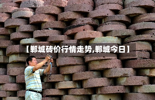 【郸城砖价行情走势,郸城今日】