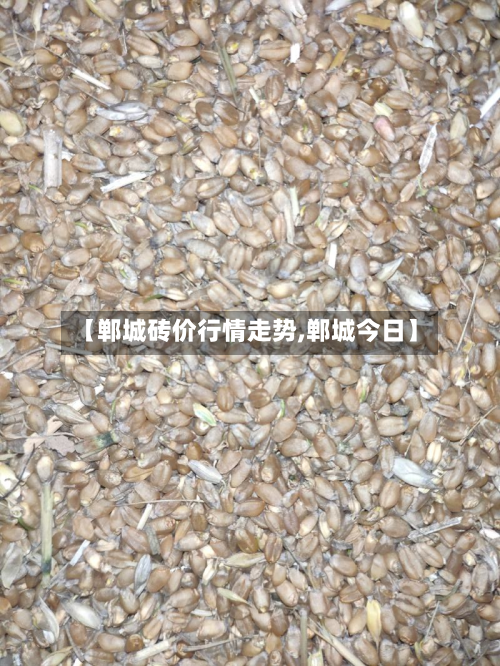 【郸城砖价行情走势,郸城今日】-第2张图片