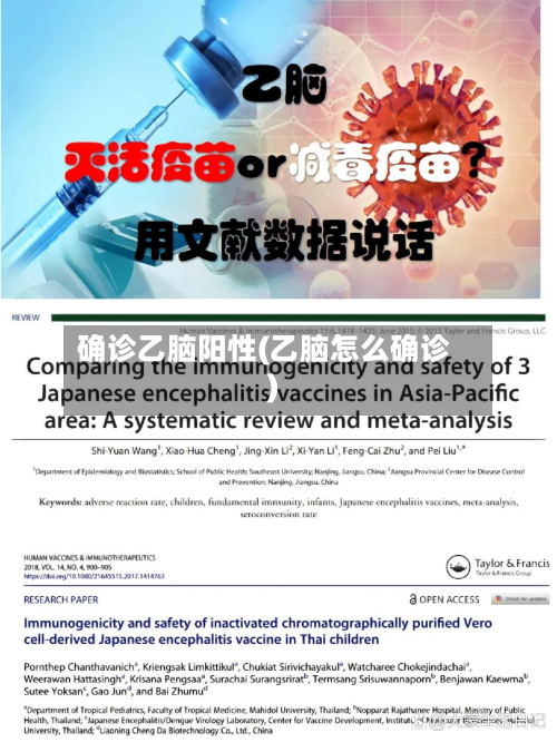 确诊乙脑阳性(乙脑怎么确诊)