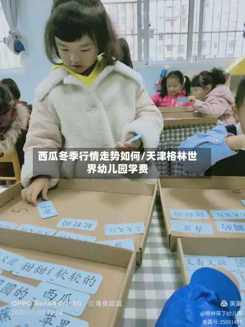 西瓜冬季行情走势如何/天津格林世界幼儿园学费