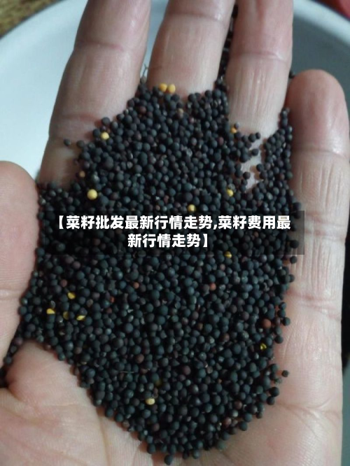 【菜籽批发最新行情走势,菜籽费用最新行情走势】-第2张图片