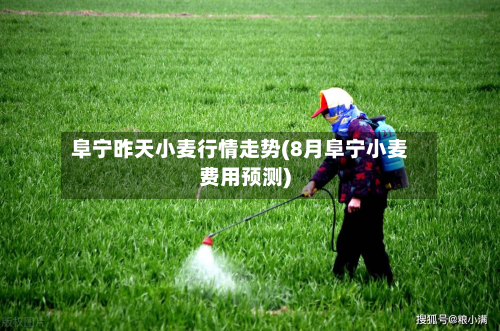 阜宁昨天小麦行情走势(8月阜宁小麦费用预测)-第3张图片
