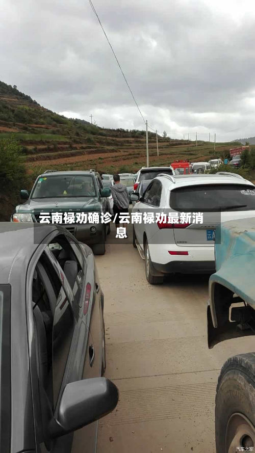 云南禄劝确诊/云南禄劝最新消息