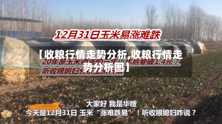 【收粮行情走势分析,收粮行情走势分析图】