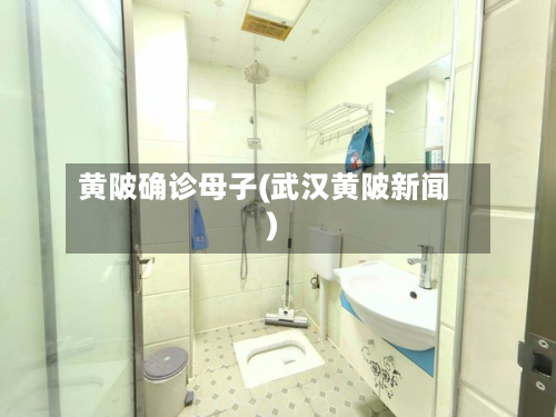 黄陂确诊母子(武汉黄陂新闻)-第2张图片