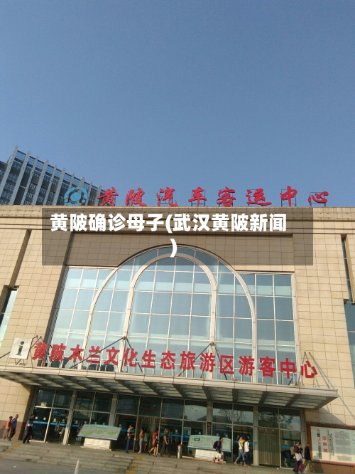 黄陂确诊母子(武汉黄陂新闻)-第3张图片