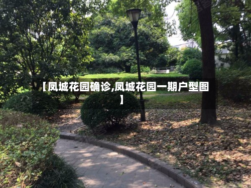【凤城花园确诊,凤城花园一期户型图】-第2张图片
