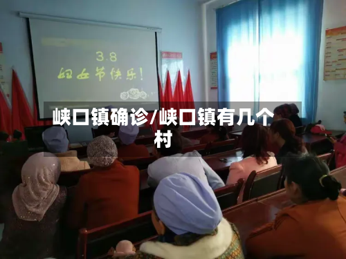 峡口镇确诊/峡口镇有几个村-第2张图片
