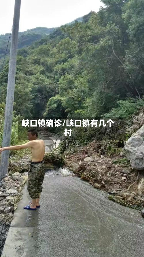 峡口镇确诊/峡口镇有几个村-第3张图片