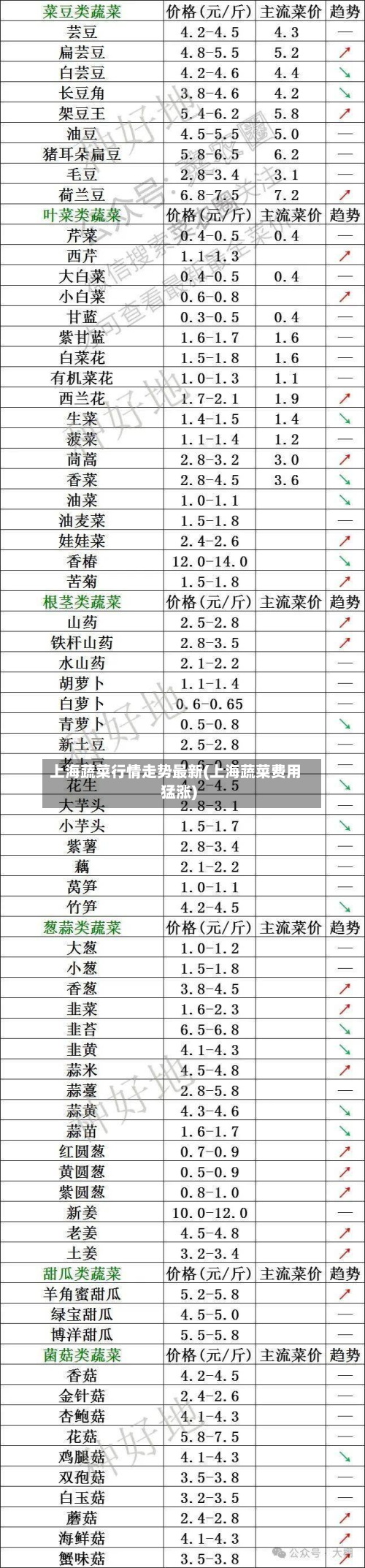 上海蔬菜行情走势最新(上海蔬菜费用猛涨)