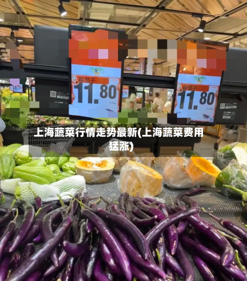 上海蔬菜行情走势最新(上海蔬菜费用猛涨)-第2张图片