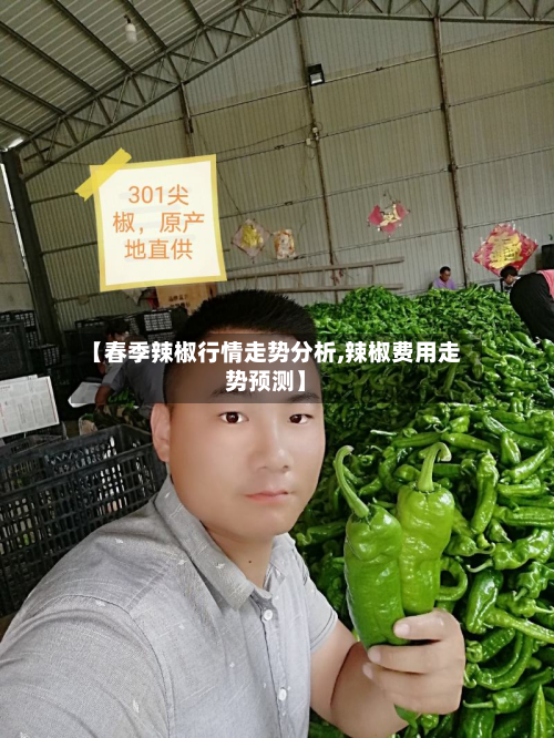 【春季辣椒行情走势分析,辣椒费用走势预测】