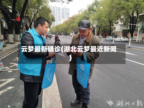 云梦最新确诊(湖北云梦最近新闻)-第3张图片