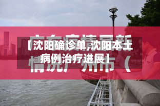 【沈阳确诊单,沈阳本土病例治疗进展】-第3张图片