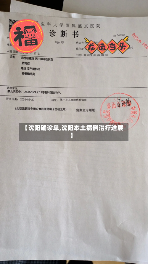 【沈阳确诊单,沈阳本土病例治疗进展】