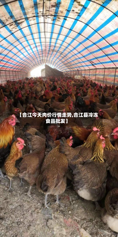 【合江今天肉价行情走势,合江县冷冻食品批发】