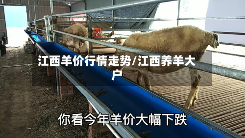 江西羊价行情走势/江西养羊大户