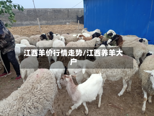 江西羊价行情走势/江西养羊大户-第3张图片