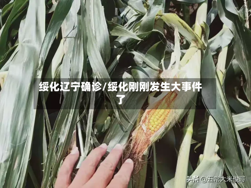绥化辽宁确诊/绥化刚刚发生大事件了-第2张图片