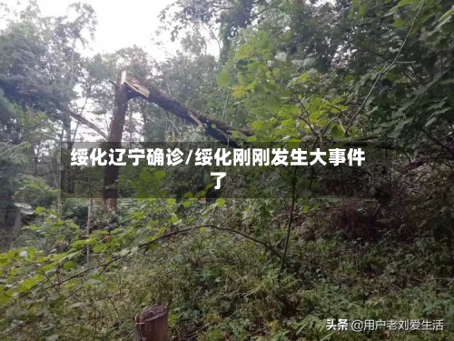 绥化辽宁确诊/绥化刚刚发生大事件了-第3张图片