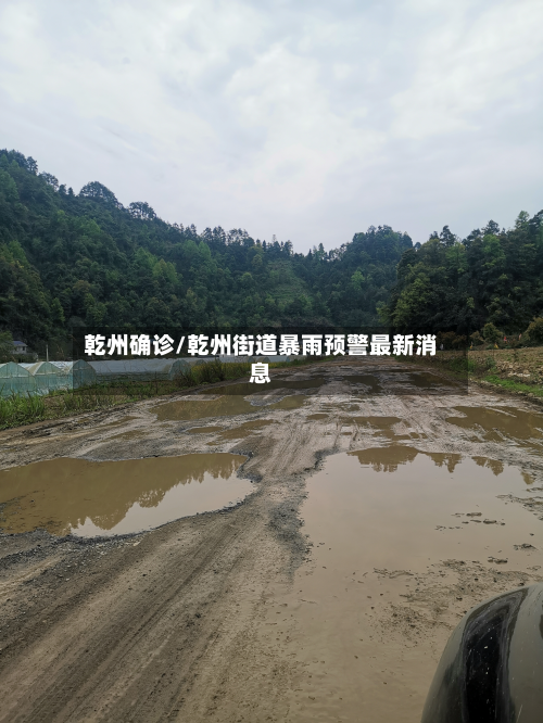 乾州确诊/乾州街道暴雨预警最新消息