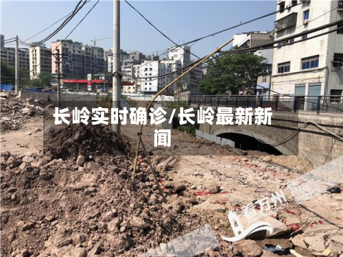 长岭实时确诊/长岭最新新闻