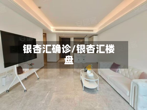银杏汇确诊/银杏汇楼盘
