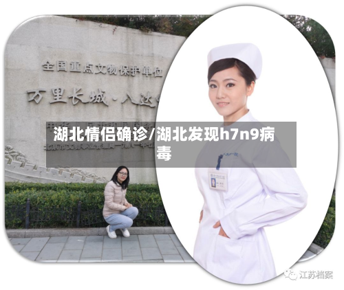 湖北情侣确诊/湖北发现h7n9病毒