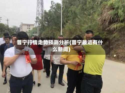 普宁行情走势预测分析(普宁最近有什么新闻)