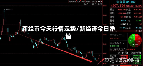 新经币今天行情走势/新经济今日净值