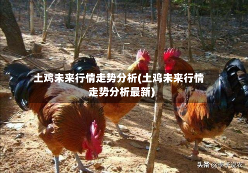土鸡未来行情走势分析(土鸡未来行情走势分析最新)-第2张图片