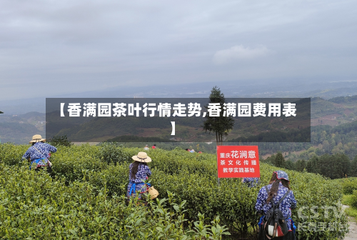 【香满园茶叶行情走势,香满园费用表】