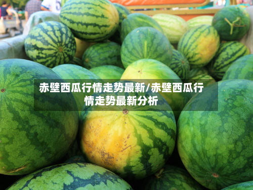 赤壁西瓜行情走势最新/赤壁西瓜行情走势最新分析-第2张图片