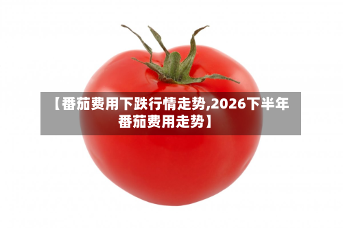 【番茄费用下跌行情走势,2026下半年番茄费用走势】-第2张图片