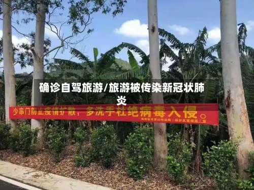 确诊自驾旅游/旅游被传染新冠状肺炎