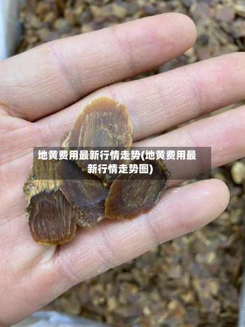 地黄费用最新行情走势(地黄费用最新行情走势图)-第3张图片
