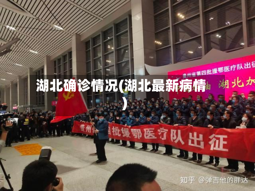湖北确诊情况(湖北最新病情)