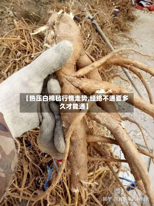 【热压白棉毡行情走势,经络不通要多久才能通】-第3张图片