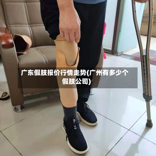 广东假肢报价行情走势(广州有多少个假肢公司)-第3张图片
