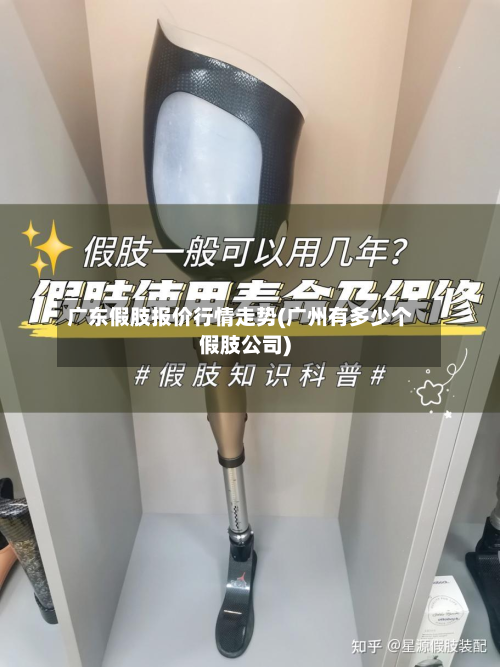 广东假肢报价行情走势(广州有多少个假肢公司)