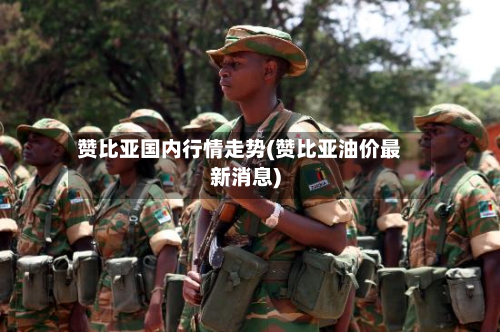 赞比亚国内行情走势(赞比亚油价最新消息)