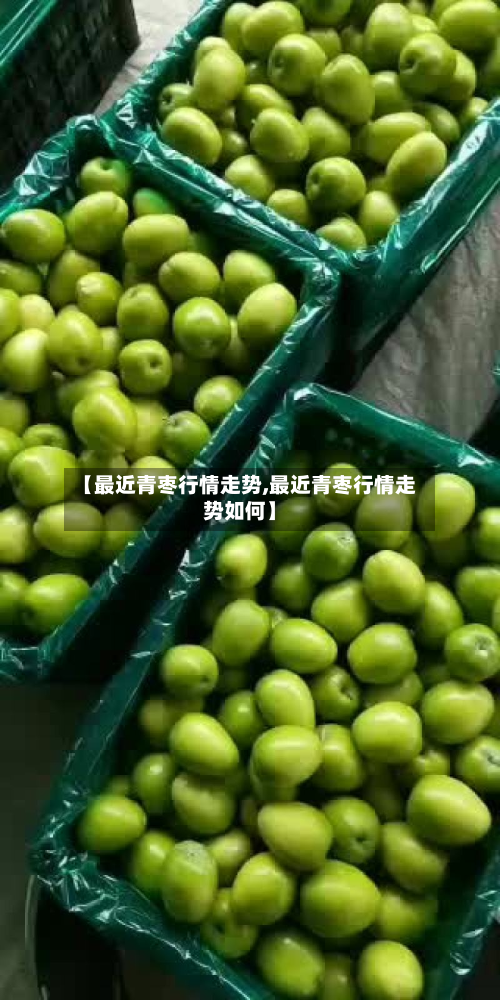 【最近青枣行情走势,最近青枣行情走势如何】-第3张图片