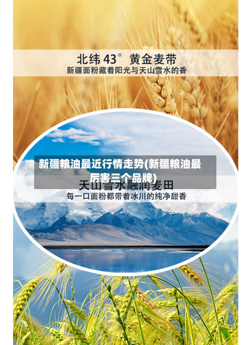 新疆粮油最近行情走势(新疆粮油最厉害三个品牌)-第2张图片