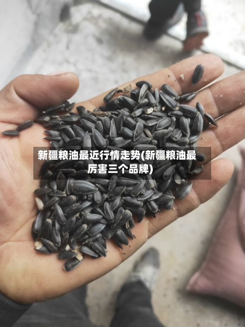 新疆粮油最近行情走势(新疆粮油最厉害三个品牌)