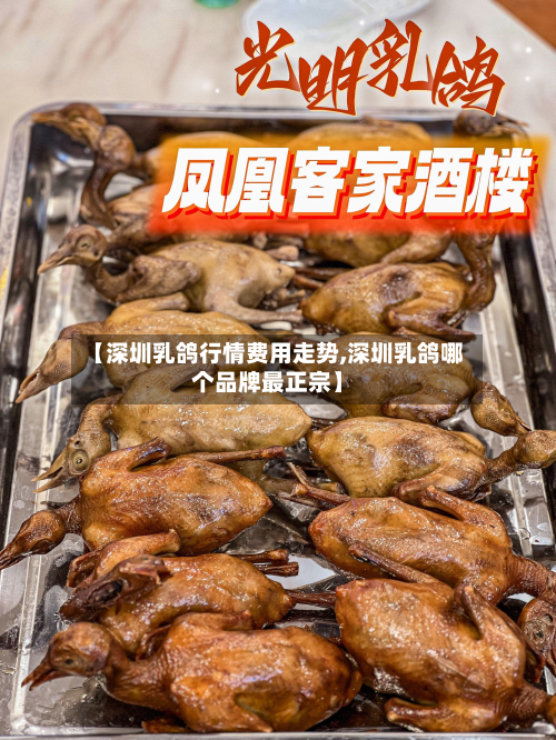 【深圳乳鸽行情费用走势,深圳乳鸽哪个品牌最正宗】-第2张图片