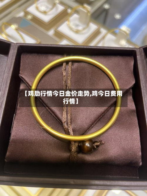 【鸡肋行情今日金价走势,鸡今日费用行情】